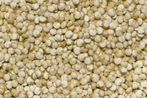 Quinoa as a protein ingredient held great promise in grain-based foods, Sheluga said
