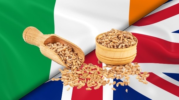 Ireland's cereal exports are among the most exposed EU products to the UK, and thus the most vulnerable to Brexit, says new report. Pic: ©iStock/vovashevchuk/Fredex8