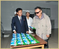 Kim Jong Il in processing plant visit as part of final duties