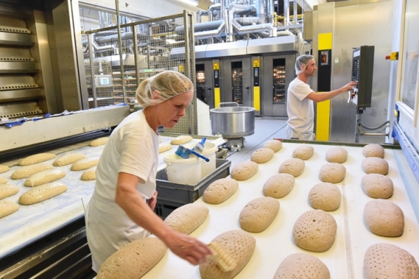 Plant bakery industryview
