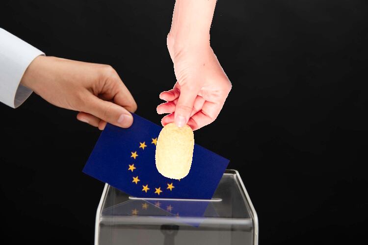 ‘A snack is a snack, not a meal replacement’: UPFs, Nutri Score, the EC elections, regulations and other issues impacting the European snacks sector