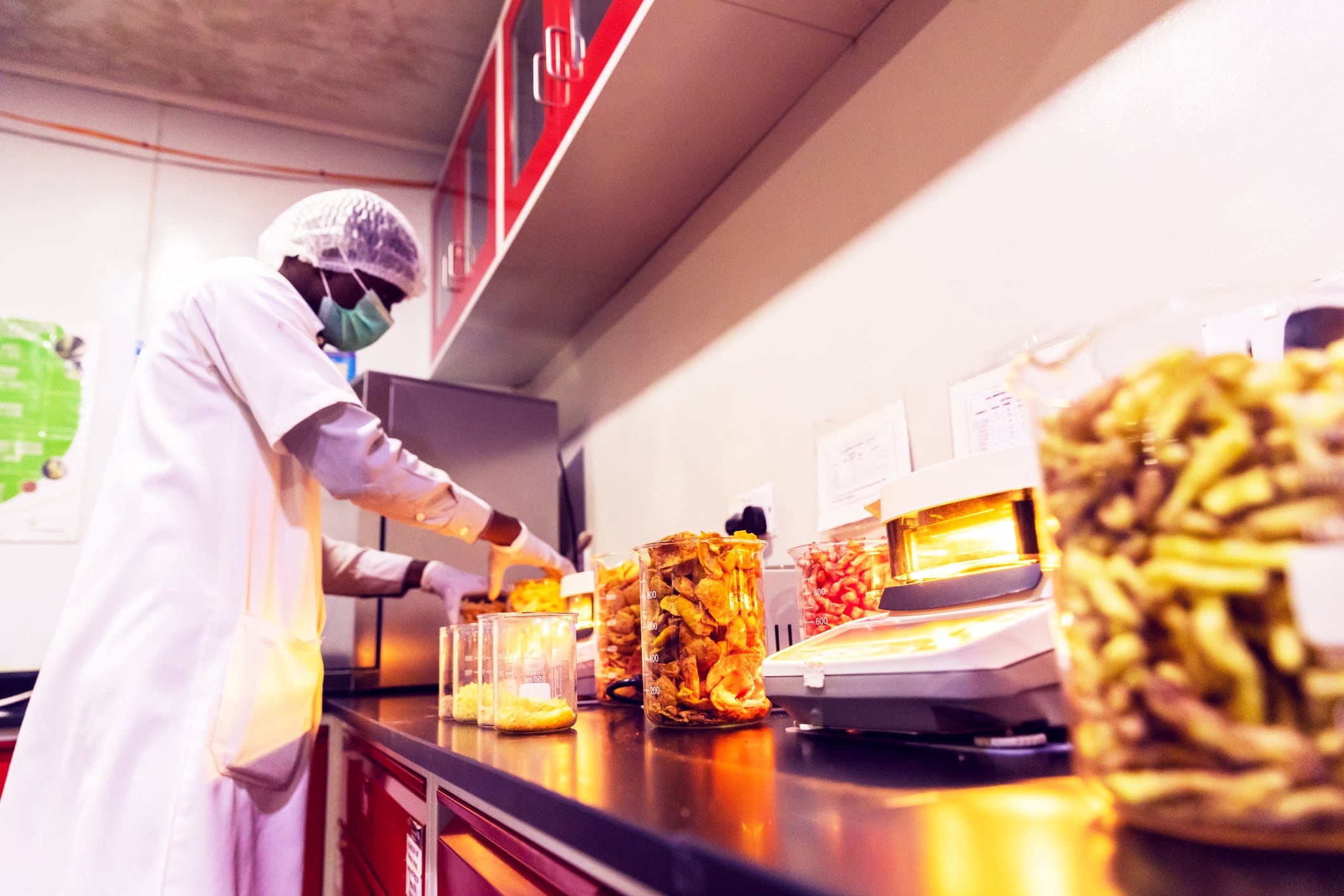 Lab Technician Performing Food Quality Tests at a Food Processing Plant