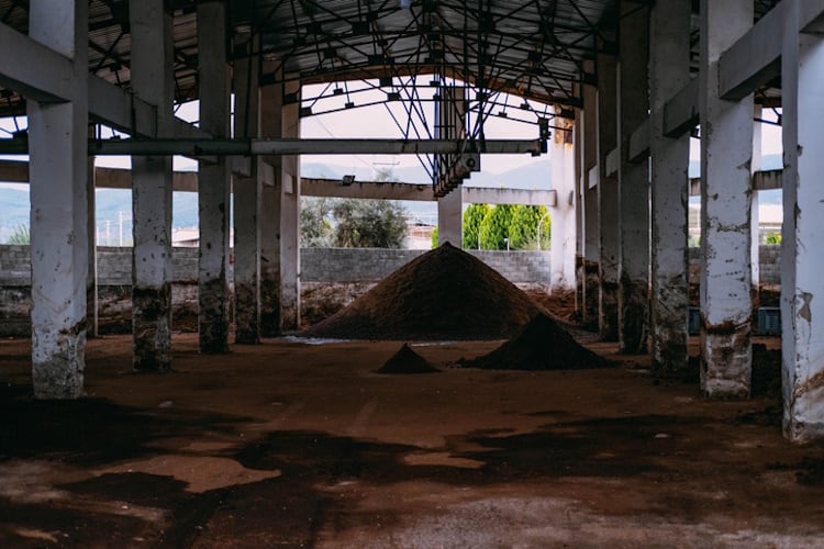 Olive-pomace-at-an-olive-oil-mill-GettyImages-1443972972.jpg