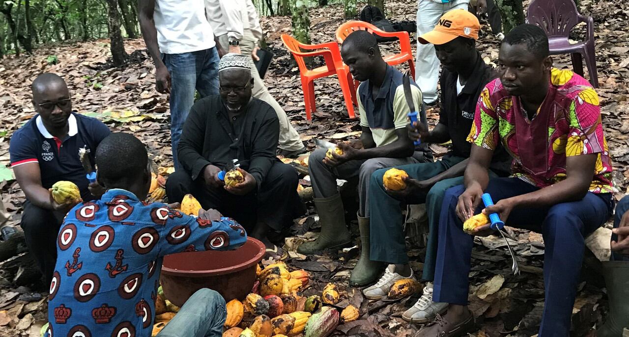 Mars launches two major initiatives to support living incomes for cocoa farmers