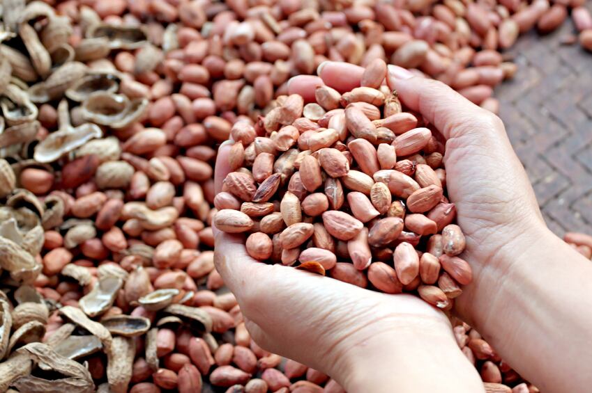 One-major-European-nut-processor-for-example-changed-its-supply-60-70-times-per-year.jpg