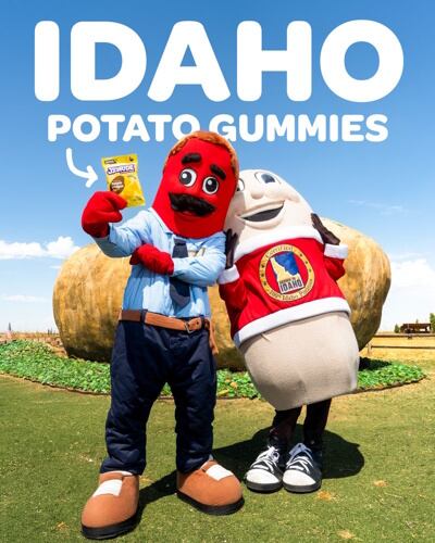 Joyride's Potato Wedges