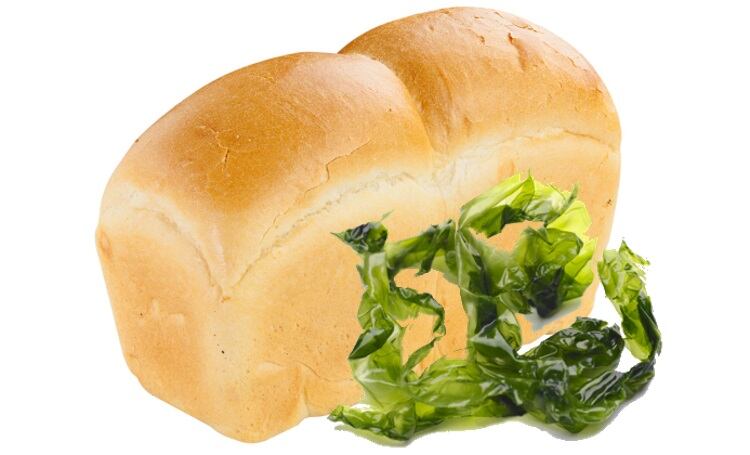 US company lands second substantial grant to develop kelp-based additive for bread