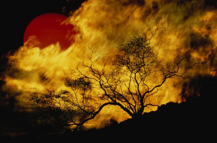 Boots-on-the-ground: Maui’s runaway fires and Texas mall shooting at the heart of FAT Brands Foundation’s first year of giving