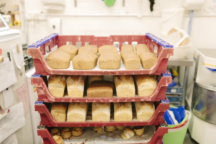 A nationwide issue: Tray loss prevention bill passes Texas state house