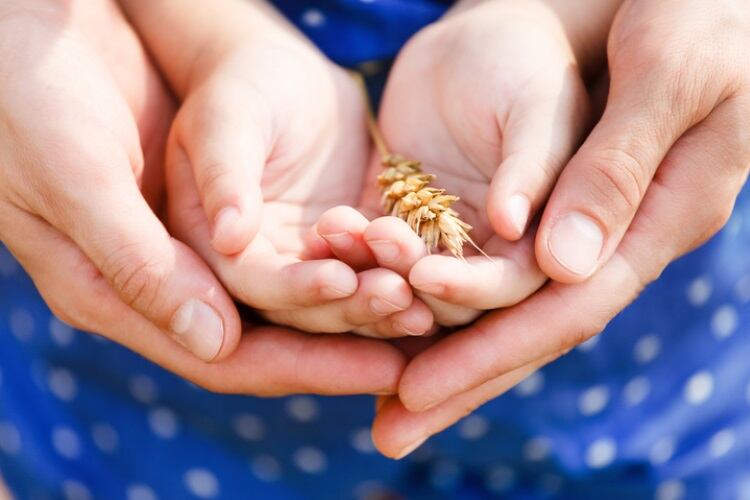 UK-mandates-folic-acid-in-non-wholemeal-wheat-flour.jpg