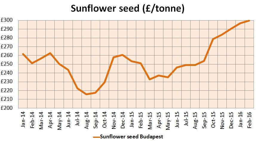 Sunflower-seeds-grab.jpg