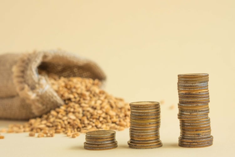 UK millers warn of rising bread prices