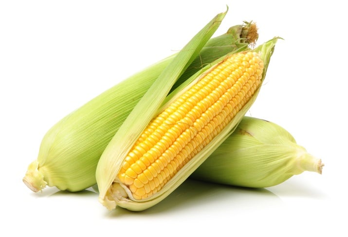maize-chengyuzheng.jpg