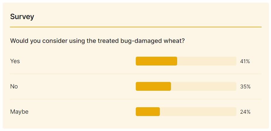 survey_196529.jpg