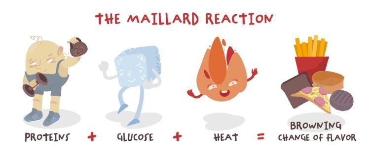 Natasha-acrylamide-The-Maillard-reaction-newannyart.jpg