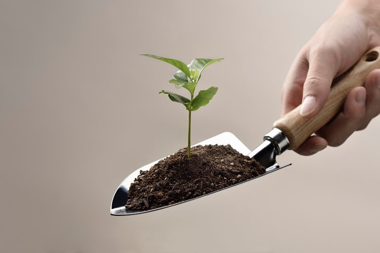 'A step in the right direction': Food and Land Use Coalition on SAI’s regenerative agriculture definition