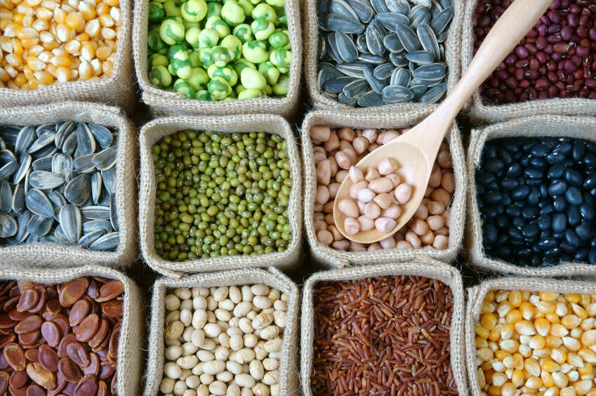 cereals-grains-pulses-fibre-seeds-prebiotics-gut-iStock.com-xuanhuongho.jpg