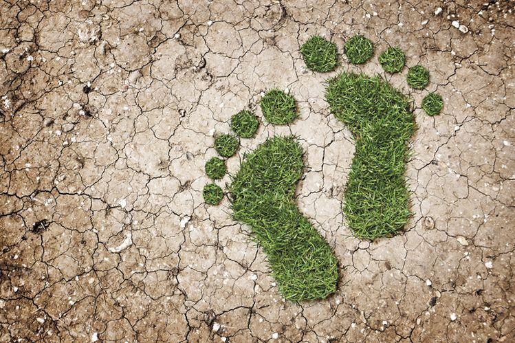 HowGood: ‘We’ve created the world’s largest food sustainability database’