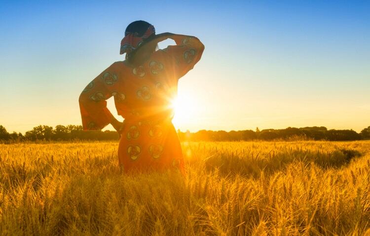 Women cereal farmers are key in tackling Africa’s pervasive hunger status