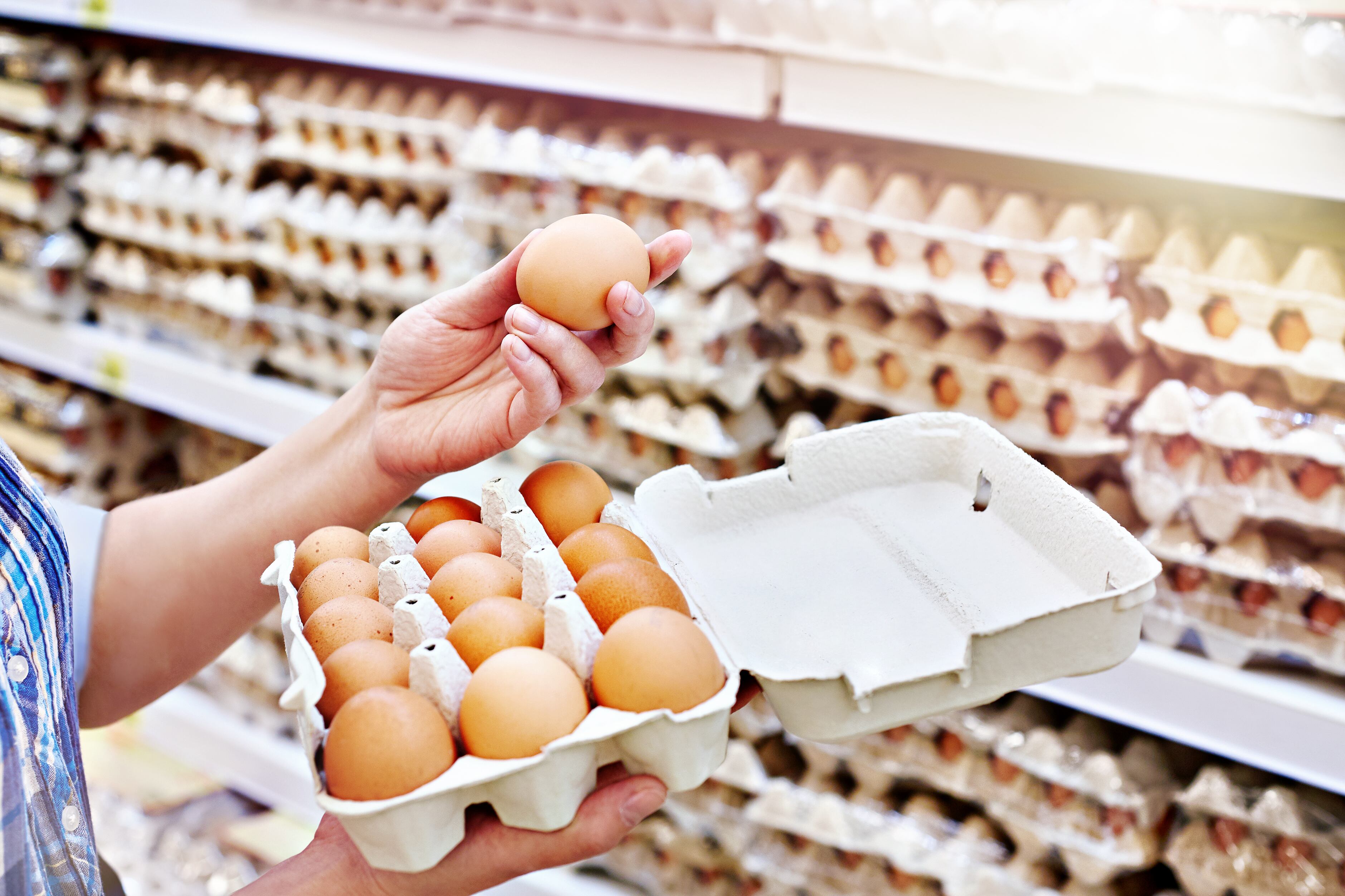 Stricter monitoring, clearer traceability, and tighter temperature controls are among new egg safety measures proposed by FSANZ.