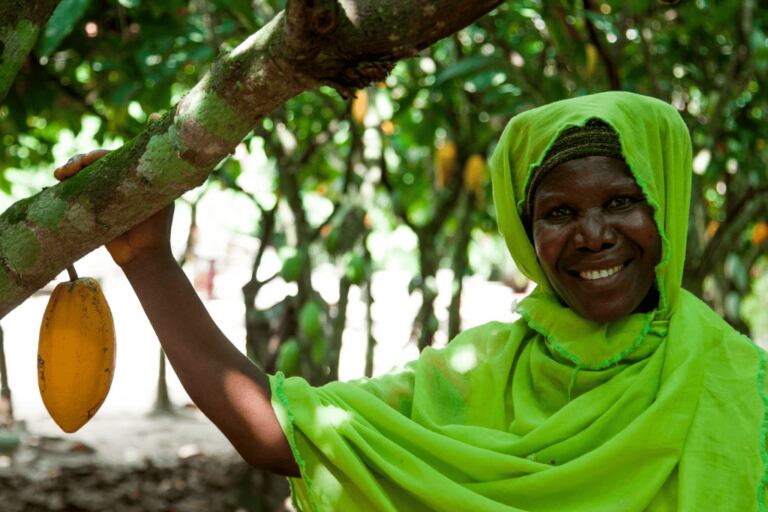 WCF-meeting-in-Amsterdam-to-outline-new-plan-for-global-cocoa-sector.png