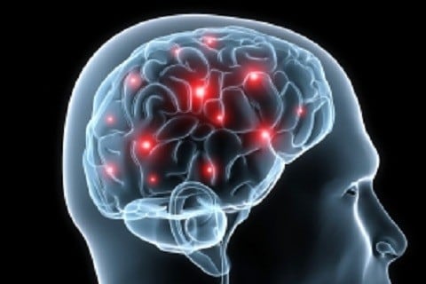 brain_free_istock.jpg