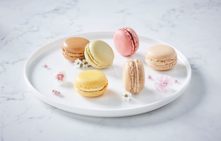 Macarons will be big in 2024, but it’s all a matter of balance, says Bridor