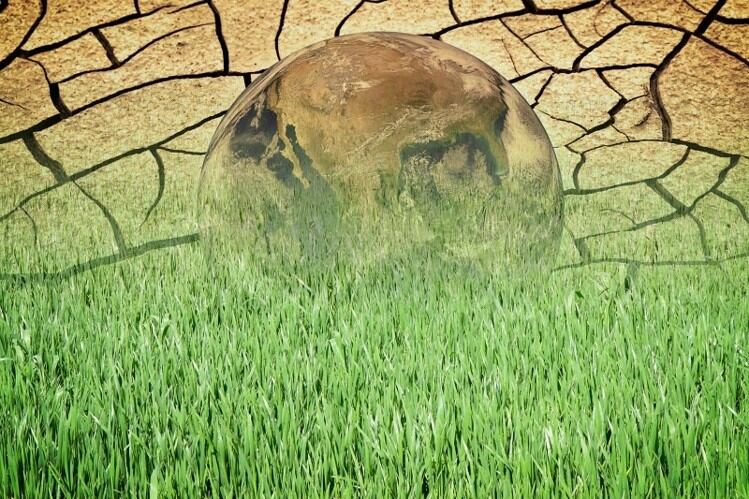Getty-Francesco-Scatena-sustainability-biodiversity-global-warming.jpg