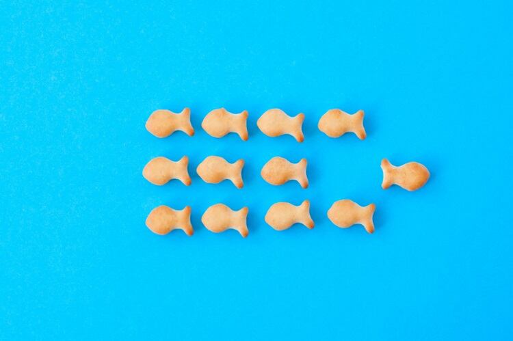Deep dive into the secrets of keeping a brand vital through brand licensing