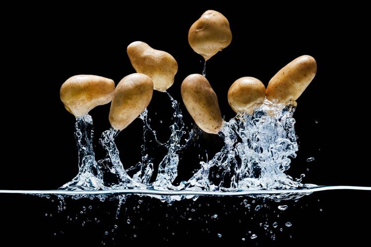 Romanian-potatoes-for-PepsiCo-s-Lay-s-to-be-grown-under-European-Green-Deal-standards.jpg