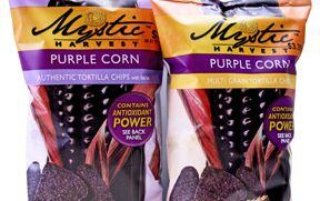 Purple-corn-mystic.jpg