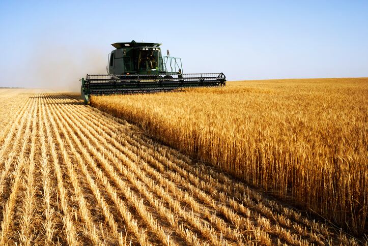 Grain-drain-Drought-woes-lead-to-Australian-wheat-exports-drop.jpg