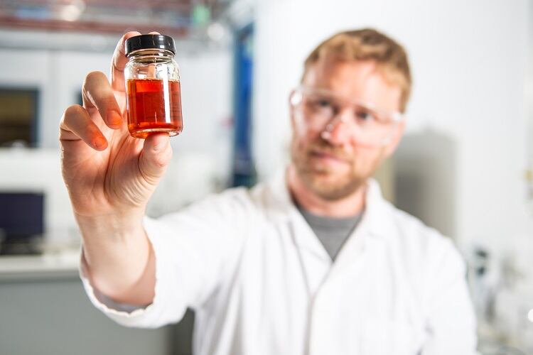 Palm oil alternative made from fermented yeast prepares for 2023 launch in Europe