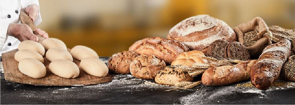 Highly-active-premium-dry-yeast-varieties-in-bakery-production.jpg