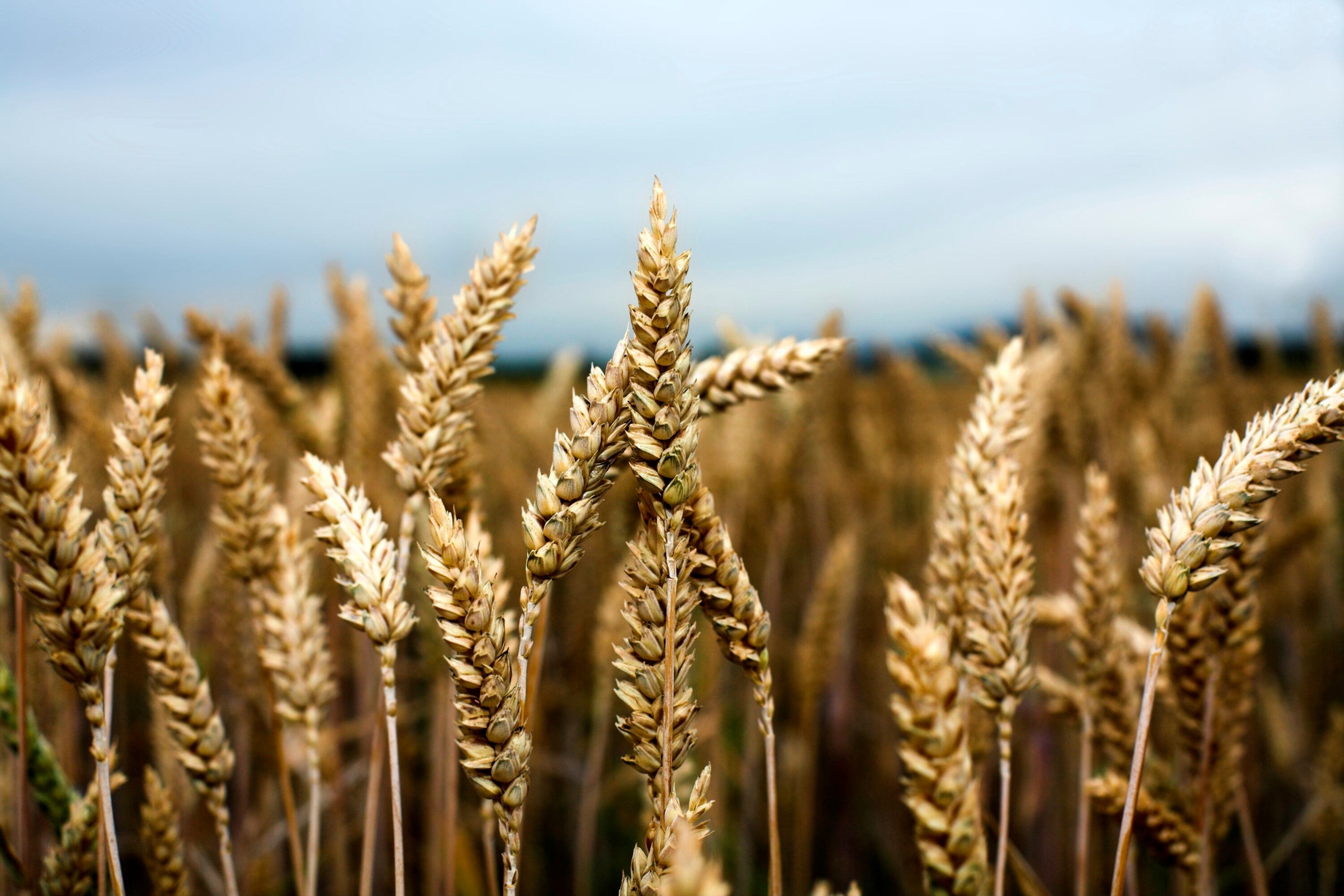 There-would-be-many-benefits-for-manufacturers-including-local-sourcing-costs-and-sustainability-claims.jpg