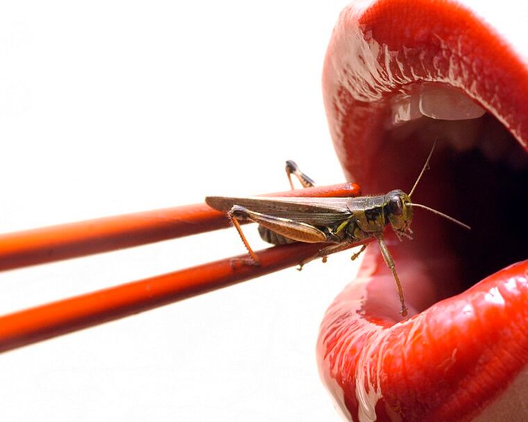 Salted crickets, tinned tarantulas and chocolate beetles: Insect snack vending machine in Japan a hit with locals
