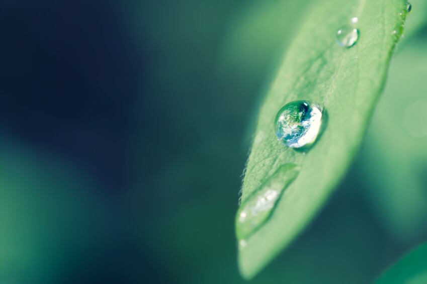 Sustainable-water-use.jpg