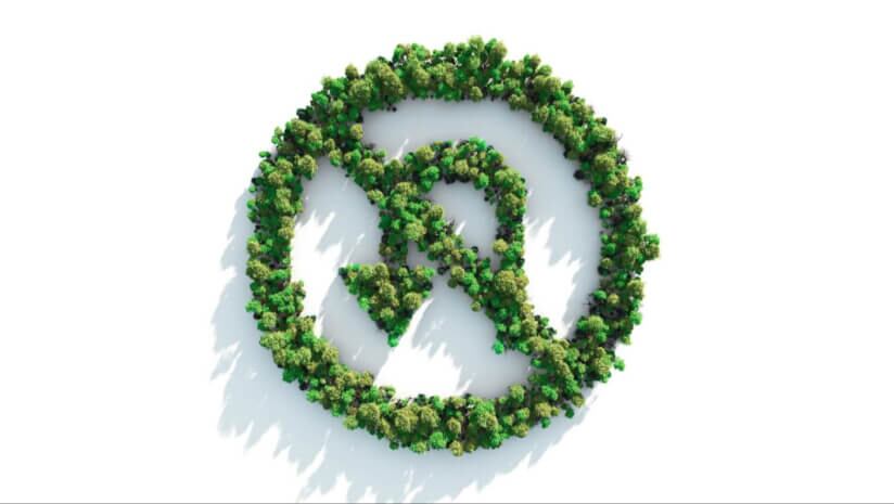 EUDR extension greenlit by European Council as 200 NGOs call for go-ahead 