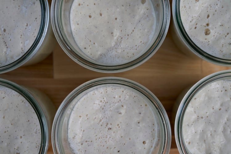 How understanding the complexities of a sourdough starter could expand a baker’s portfolio and benefit gluten intolerant consumers