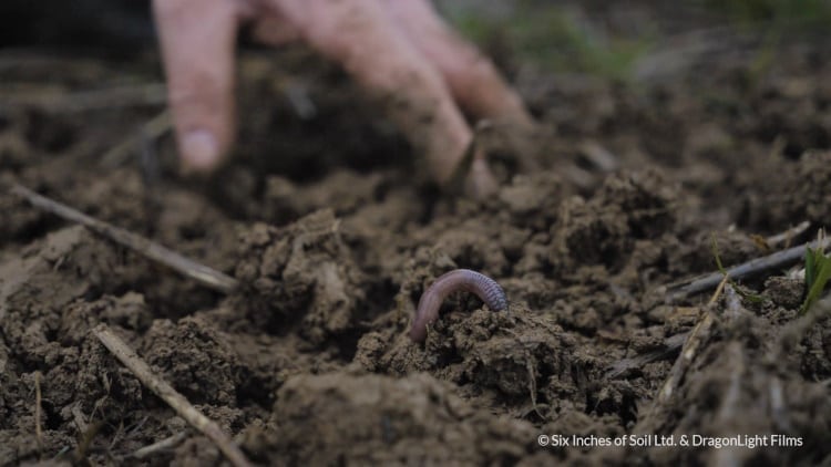 Regenerative-agriculture-is-at-the-heart-of-Six-Inches-of-Soil.jpg