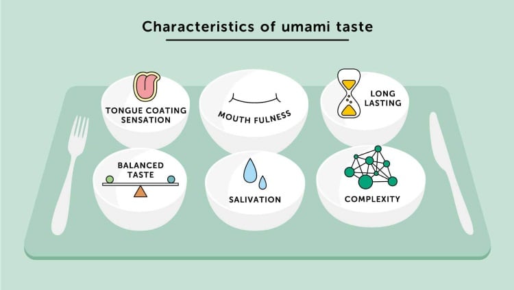 Umami-characteristics.jpg