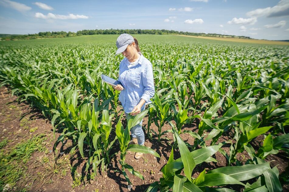 'Our culture compels us to act,' ADM and PepsiCo strike regenerative agriculture agreement