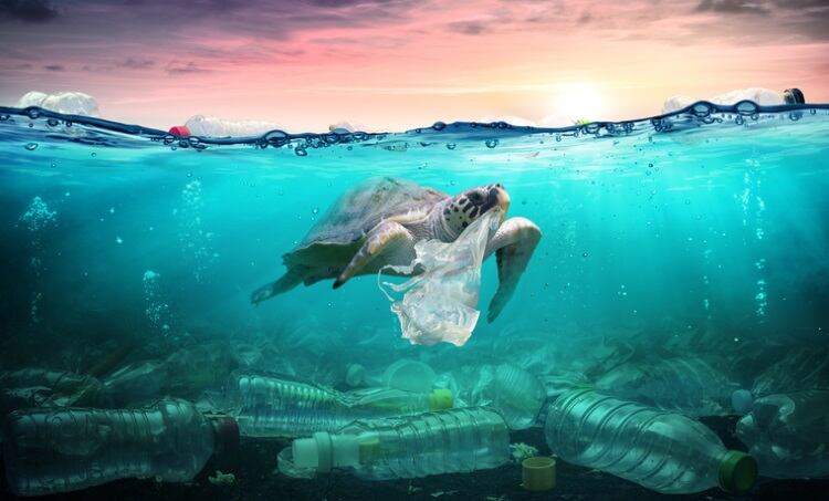 Plastic-waste-Romolo-Tavani.jpg