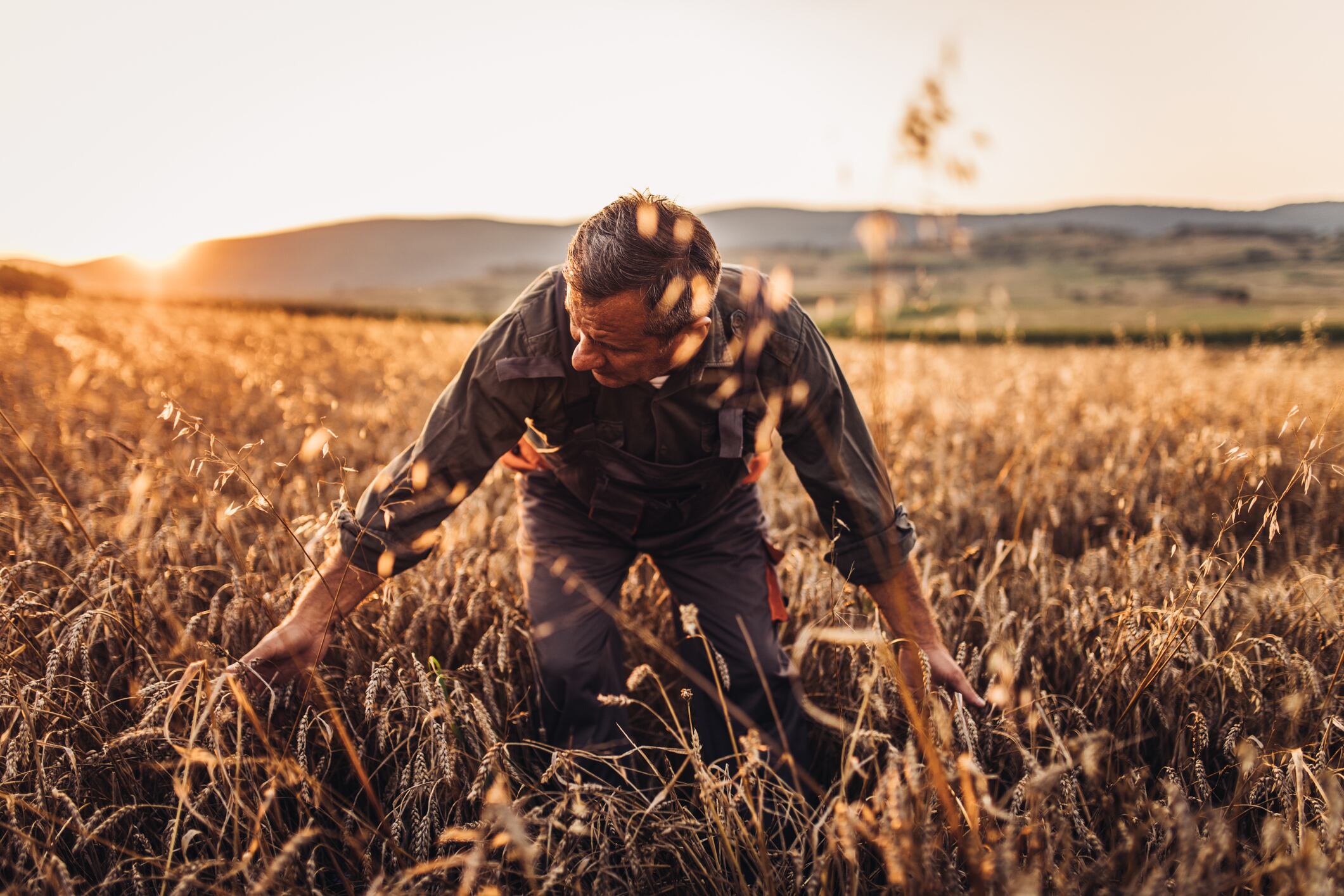 The new “product-based” approach for gene-edited crops mirrors regulatory pathways already established in countries such as the US, Brazil and parts of Asia. But a new alignment with global markets won’t be without friction.