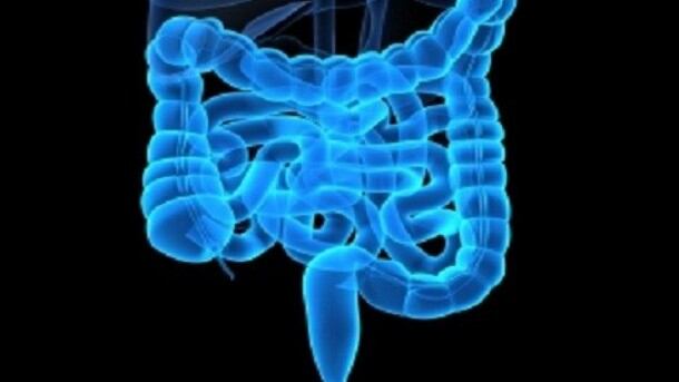 gut-probiotics-microbiota-edited.jpg
