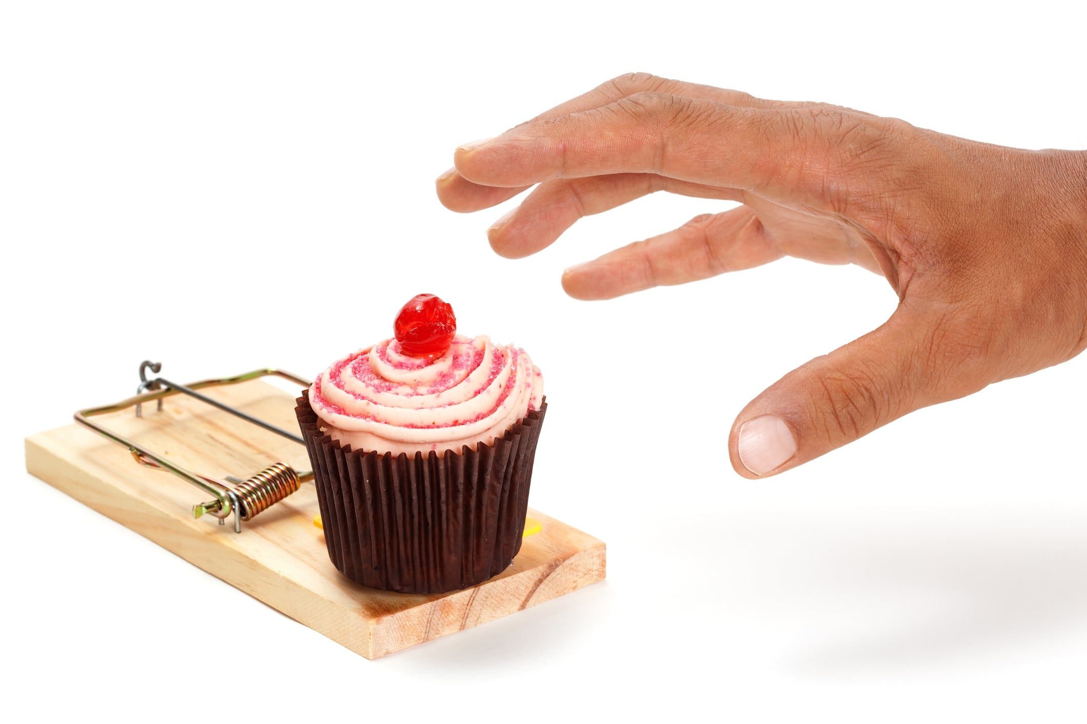 Trap baited with cup cake