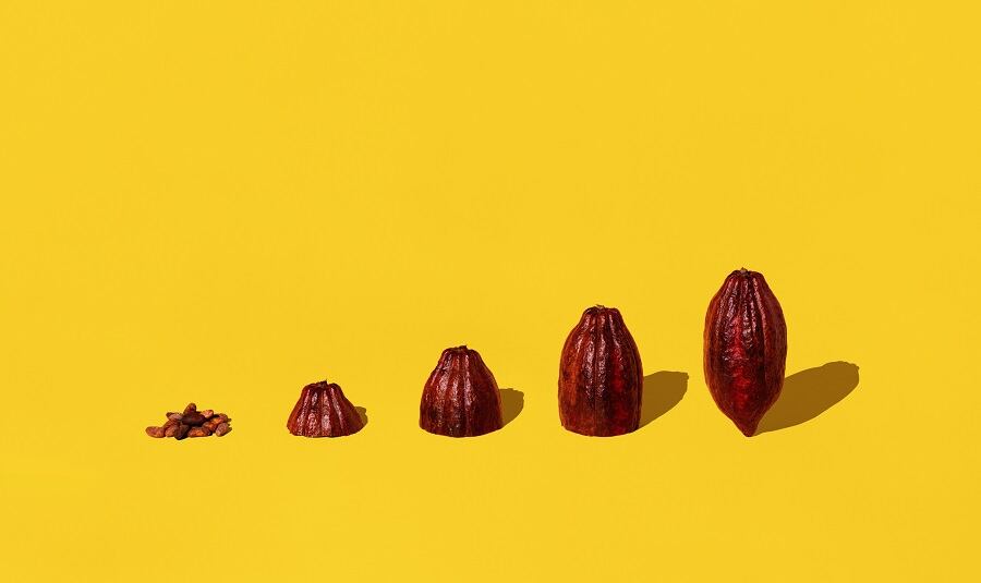 Consumer-Reports-releases-updated-report-on-high-levels-of-heavy-metals-in-chocolate-NCA-reaffirms-chocolate-is-safe-to-eat.jpg
