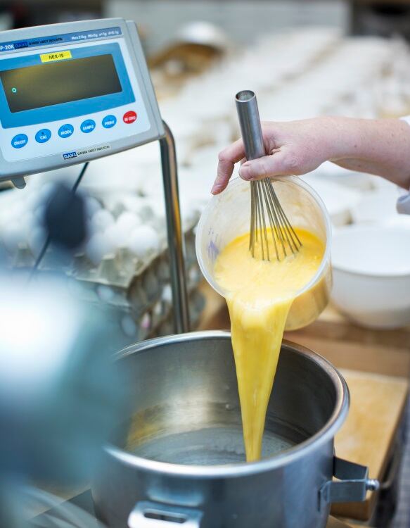 Palsgaard-Egg-in-cake-mix.jpg