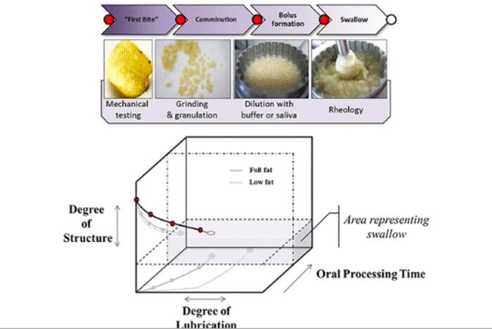 Potato-chip-sensorial-analysis.jpg