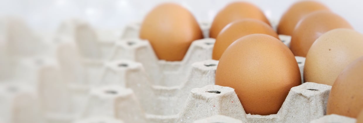 Rethinking ingredient lists: Innovations in egg reduction and replacement